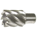 Annular Cutter,M42,1/2 Dia,1 D