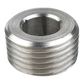 Hex Socket Plug, 1/4 in, 316 Stainless Steel, MNPT, Class 150