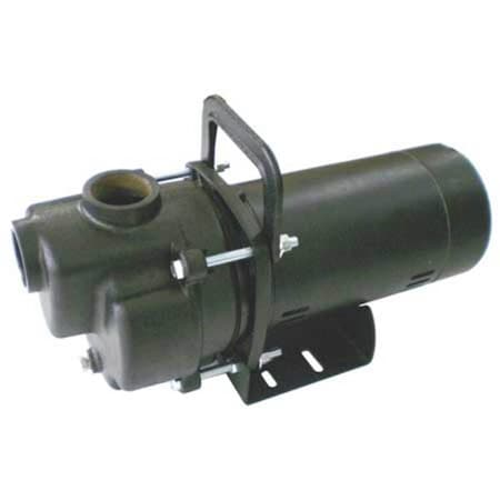 Centrifugal Pump, 3/4 hp, 115/230V AC, 1 Phase, 42 ft Max Head