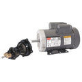 Rotary Pump,125psi,Cast Iron,1-1/2HP