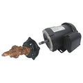 RotaryGearPump,Brz,1/2"InletDia,1-1/2hp