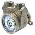 RotaryVanePump,1/2"InletDia,SS,For48Y
