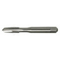 Spiral Point Tap, #8-32, Plug, UNC, 3 Flutes, Bright