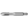Spiral Point Tap, 1/4"-28, Plug, UNF, 2 Flutes, Bright
