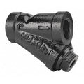 Y Strainer, 1-1/2" Pipe, Threaded, Cast iron