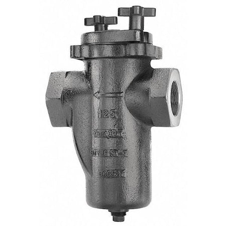 Basket Strainer, 2-1/2" Pipe, Threaded, Cast iron, 200 psi at 150 Degrees F WOG