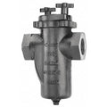 Basket Strainer, 2-1/2" Pipe, Threaded, Cast iron, 200 psi at 150 Degrees F WOG