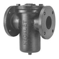 Basket Strainer, 4" Pipe, Flanged, Cast iron
