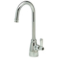 Lever Handle Laboratory Faucet, Single Hole Mount, Chrome 1 Hole