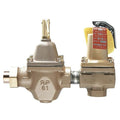Fill and Relief Valve,1/2 In,30 psi,Iron