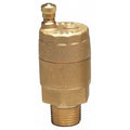 Automatic Air Vent Valve,3/4 In,Brass