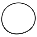 O-Ring, PPTPXY06G