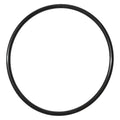 O-Ring, PP61003G