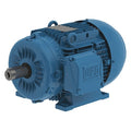 Three-Phase General Purpose Motor, 4 HP, 100L Frame, 460V AC Voltage, 3515 rpm Nameplate RPM