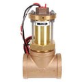 Flow Meter,Impeller,2 in. Fitting Size