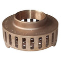 Suction Strainer,3 in. NPT,Bronze