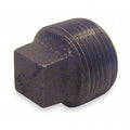 Square Head Plug Square Head Plug, 2" Pipe, MNPT, Malleable Iron, 150