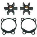 Pump Repair Kit