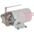 Utility Pump,Stainless Steel,115 V