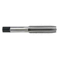 Straight Flute (Hand) Straight Flute Hand Tap, #12-24, Plug, UNC, High Speed Steel, 2