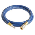 1/4" x 10 ft PVC Coupled Multipurpose Air Hose 300 psi BL