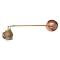 Float Valve,2" Size,FNPT,20" Rod L