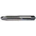 Spiral Point Tap, Plug, 2