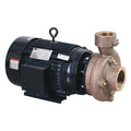 CentrfPmp,5hp,Brz,2",BunaN/Carbn/Ceramic