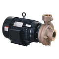 CentrfPmp,10hp,Brz,2-1/2"