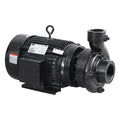 CentrfPmp,15hp, CI, 2-1/2"