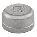 Cap, Stainless Steel, Threaded 4 in