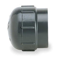 CPVC Cap, Schedule 80, 1-1/2" Pipe Size, FNPT