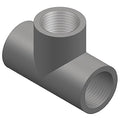 PVC Tee, FNPT x FNPT x FNPT, 1 in Pipe Size