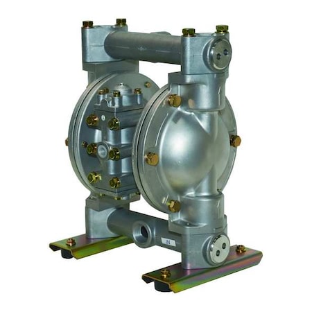 Double Diaphragm Pump, 316 Stainless Steel, Air Operated, Santoprene