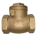 Swing Check Valve, 2 in, FNPT x FNPT, Inline, Brass Body