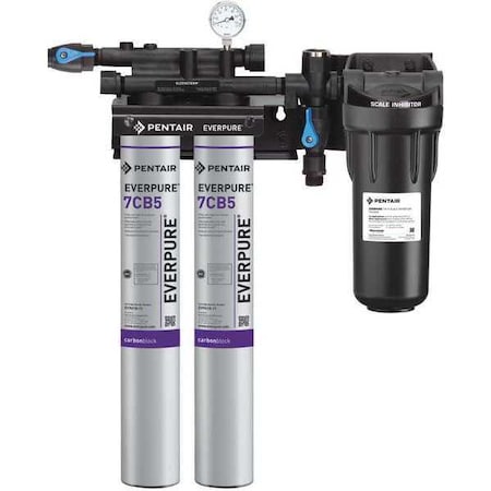 Steamer Filter System,3/4 In NPT,5 gpm