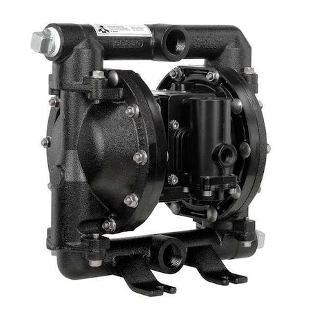 Double Diaphragm Pump, Cast iron, Air Operated, Santoprene, 52 GPM