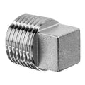 Plug, Aluminum, Threaded 2 in