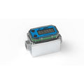 Electronic Flowmeter,1/2",FNPT,17" L