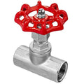 Globe Valve,Threaded,FNPT x FNPT