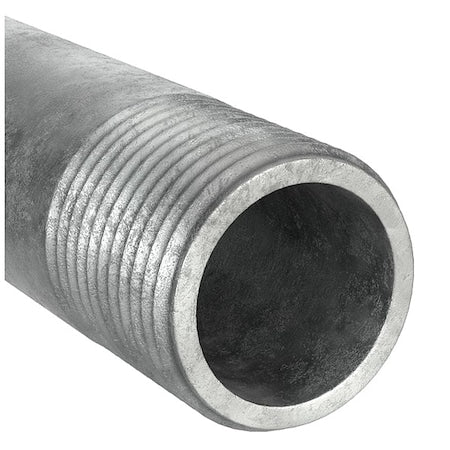 PipeNipple,Steel,1/2",NPTxNPT,24"