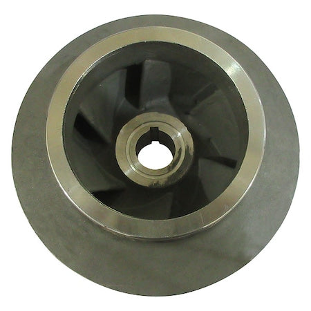 Impeller,6-1/16",316 SS,Closed,55JJ62A