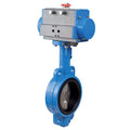 Pneumatically Actuated Butterfly Valve