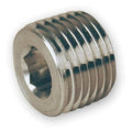 316 Stainless Steel Hollow Hex Plug, 1/4 in MNPT, 7,500 psi Max Pressure