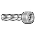 #6-32 Socket Head Cap Screw, Socket, Passivated Steel, 3/4 in Length, 5 PK