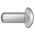 Semi-Tubular Rivet, Oval Head, 1/8 in Dia., 1/4 in L, Stainless Steel Body, 50 PK