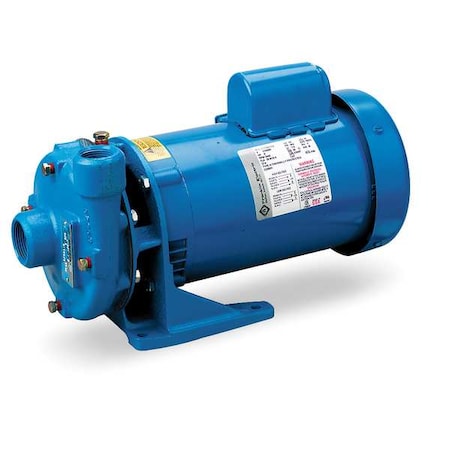 Cast Iron 2 HP Centrifugal Pump 115/230V