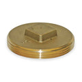 Brass Raised Square Head Plug, MNPT, 3" Pipe Size