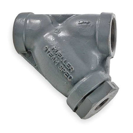 Y Strainer, 1-1/4" Pipe, FNPT x FNPT, Cast Stainless Steel