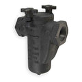 Basket Strainer, 3/4" Pipe, FNPT x FNPT, Cast iron, 200 psi at 150 Degrees F